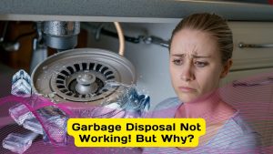 Insinkerator Garbage Disposal Leaking: Reasons & Solutions